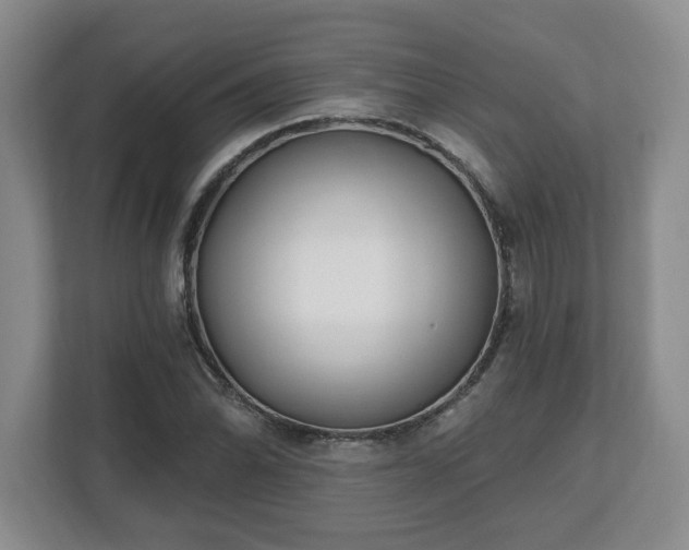 X0000112541070200908241522