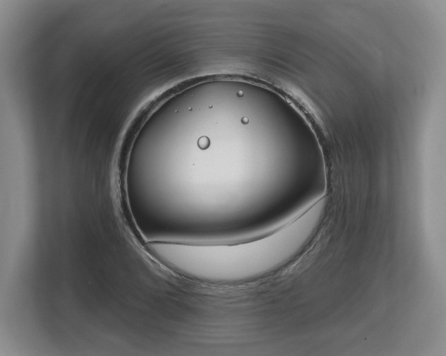 X0000112541072200908241522