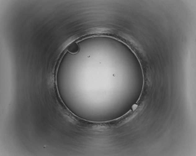 X0000112541073200908241522