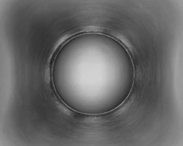 X0000112541075200908241522