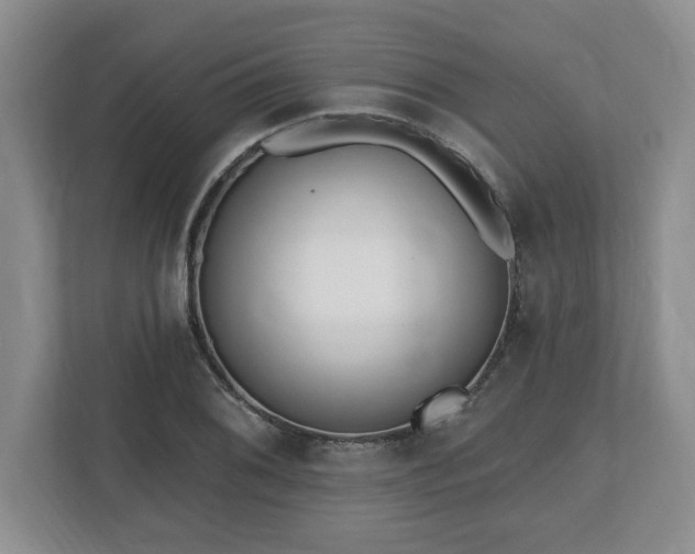 X0000112541076200908241522