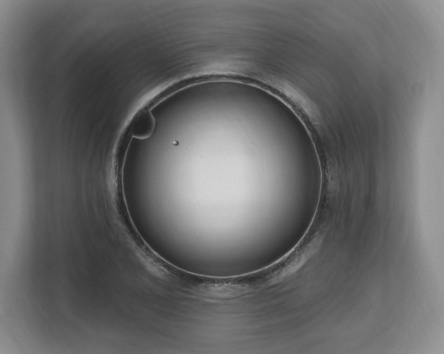 X0000112541077200908241522