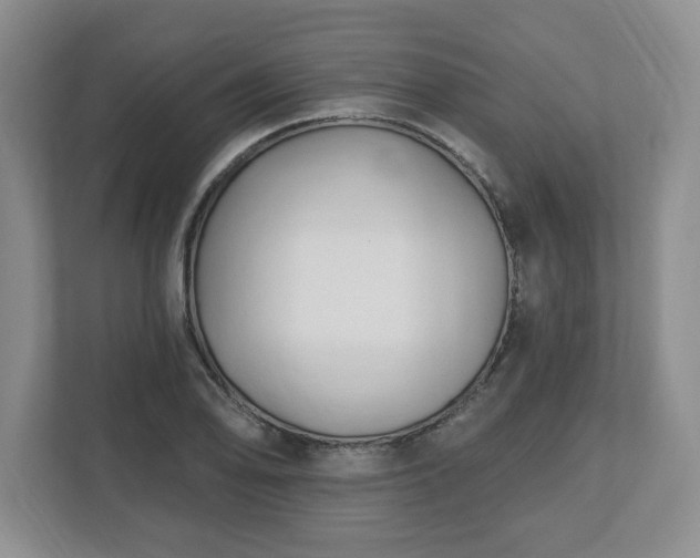 X0000112541078200908241522