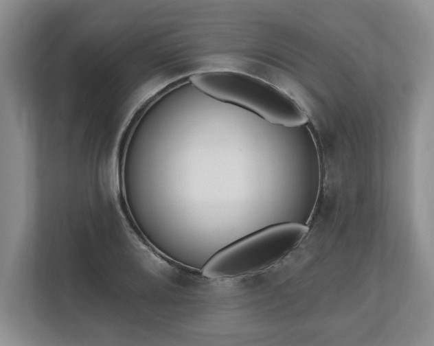 X0000112541080200908241522