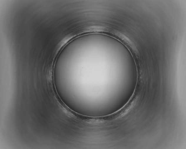 X0000112541081200908241522
