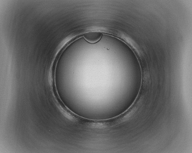 X0000112541082200908241522