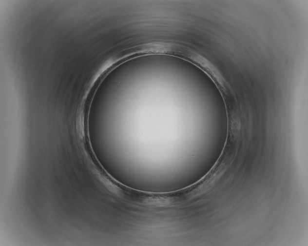 X0000112541083200908241522