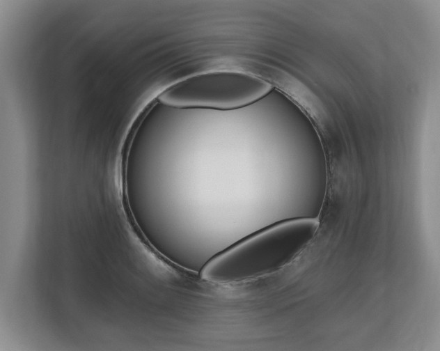 X0000112541084200908241522
