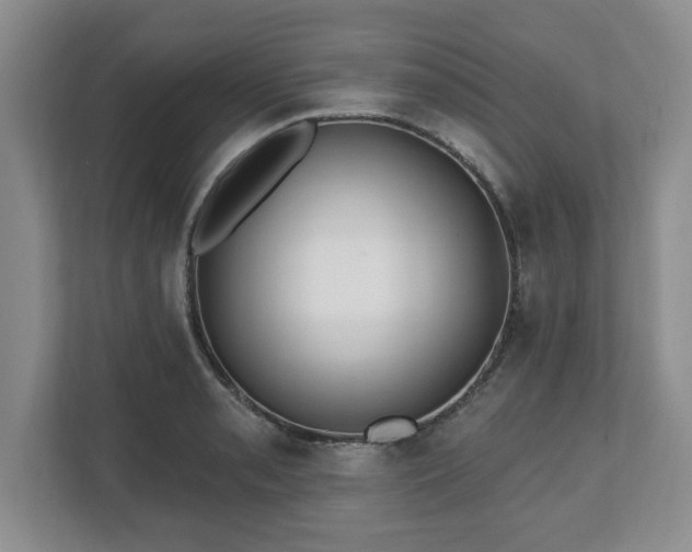 X0000112541085200908241522