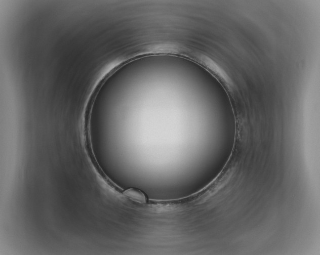 X0000112541087200908241522