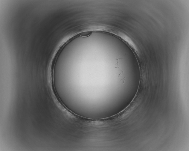 X0000112541088200908241522