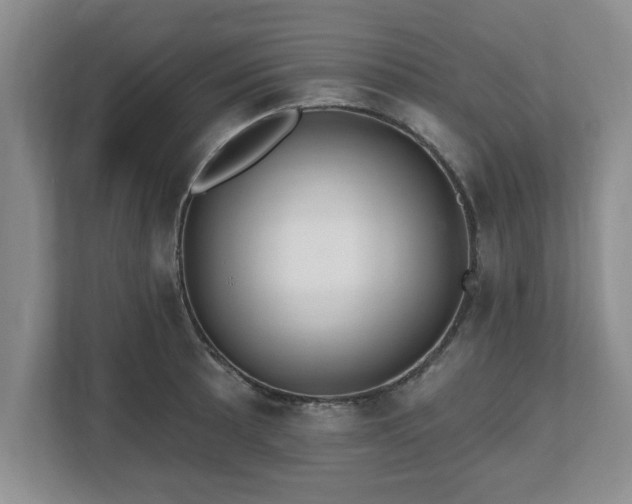 X0000112541089200908241522