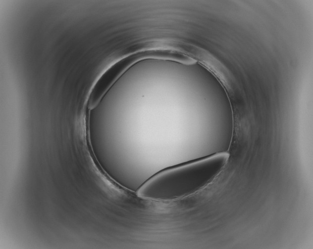 X0000112541092200908241522