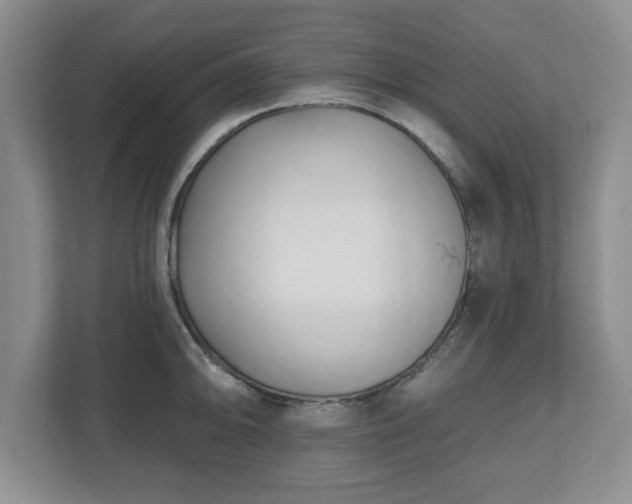 X0000112541094200908241522