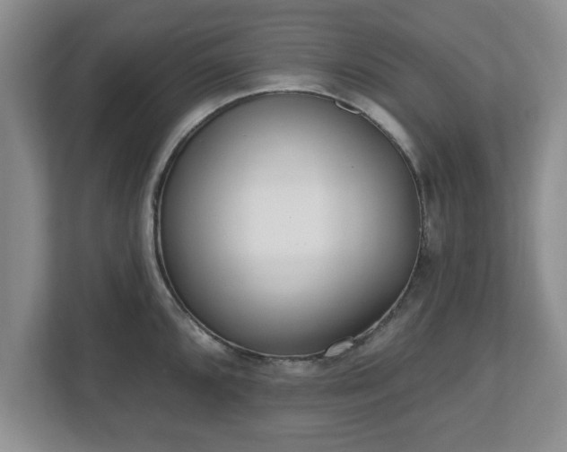 X0000112541096200908241522