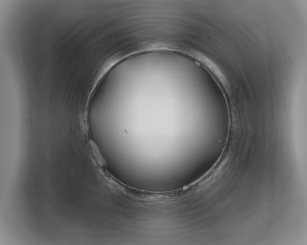 X0000112541097200908241522