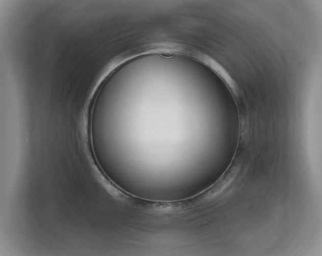 X0000112541099200908241522