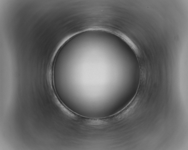 X0000112541100200908241522