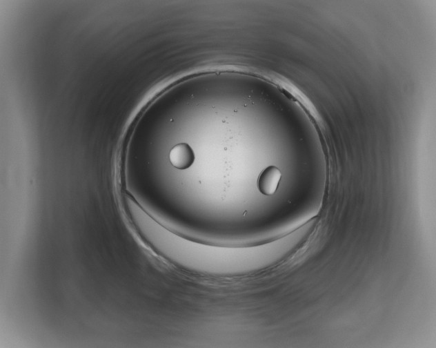 X0000112541101200908241522