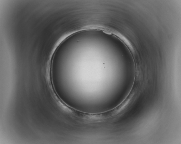 X0000112541102200908241522