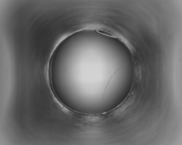 X0000112541103200908241522