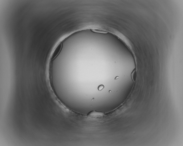 X0000112541104200908241522