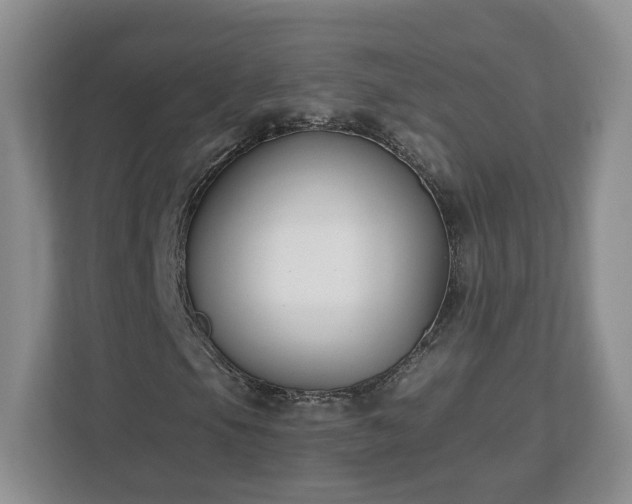 X0000112541105200908241521