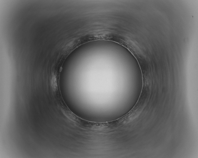 X0000112541106200908241521