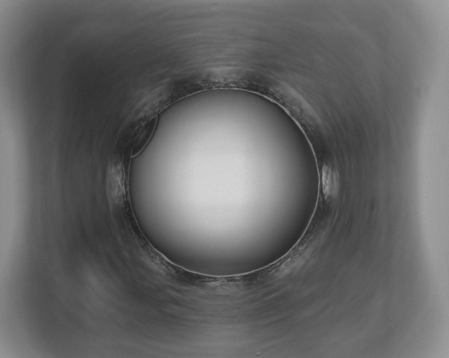 X0000112541107200908241521