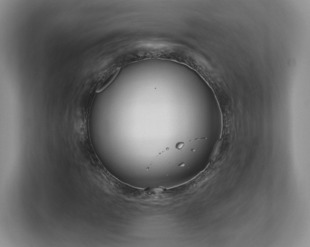 X0000112541109200908241521