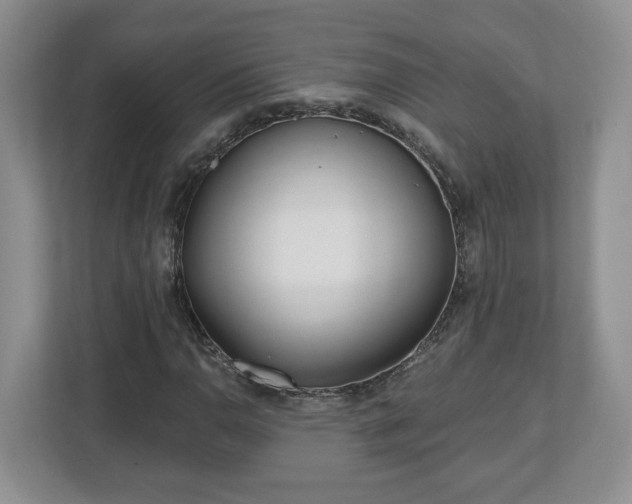 X0000112541110200908241521