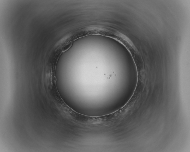 X0000112541111200908241521