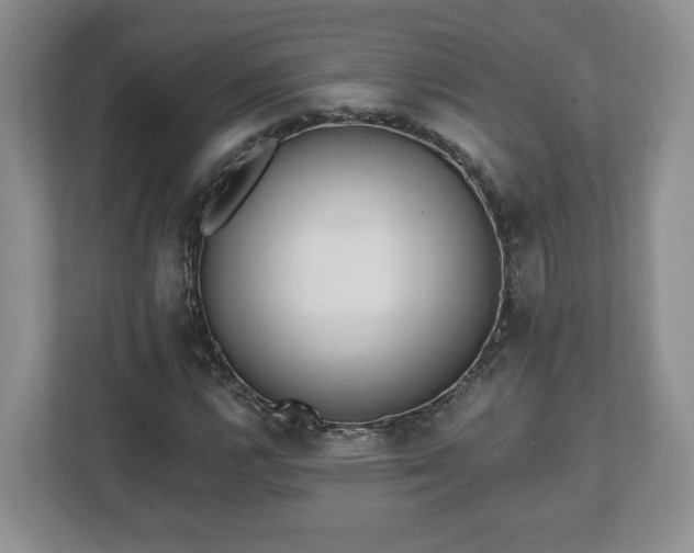 X0000112541112200908241521