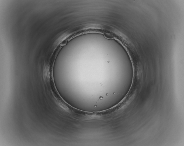 X0000112541113200908241521