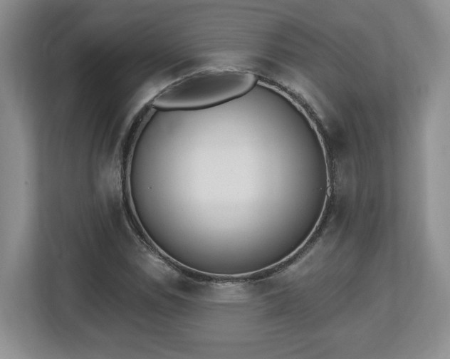 X0000112541114200908241521