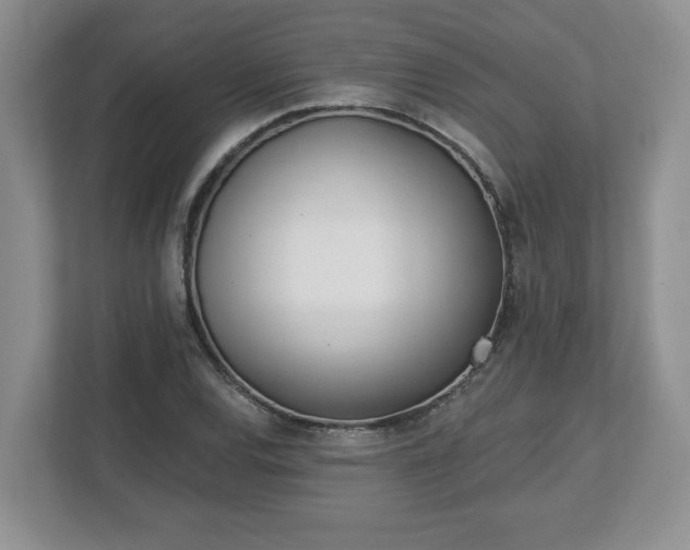 X0000112541120200908241521