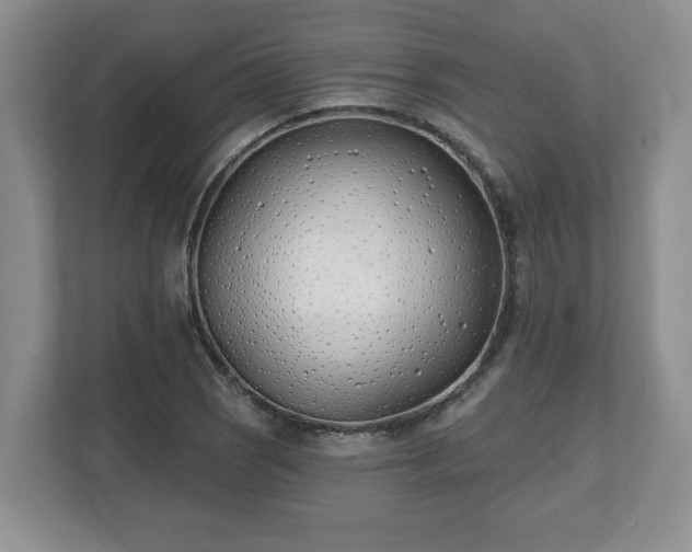 X0000112541121200908241521