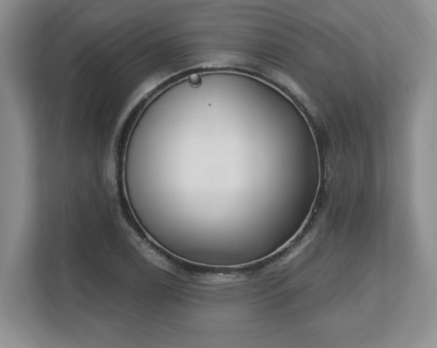 X0000112541122200908241521