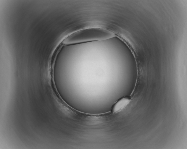 X0000112541124200908241521