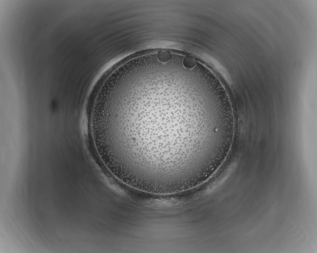 X0000112541125200908241521