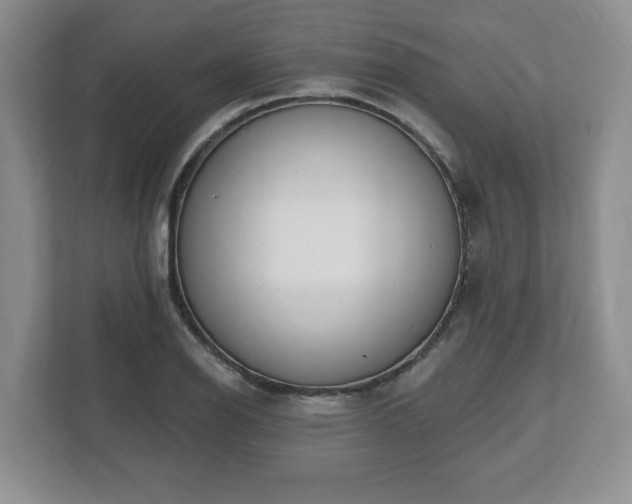 X0000112541126200908241521