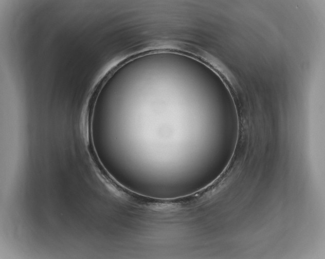 X0000112541127200908241521