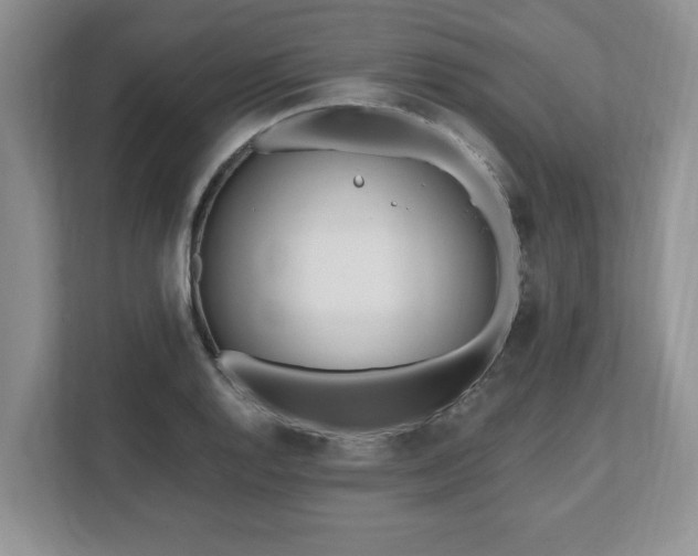 X0000112541128200908241521