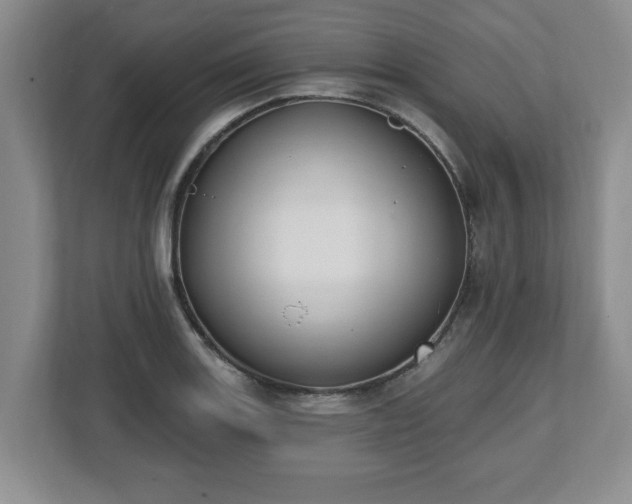 X0000112541131200908241521