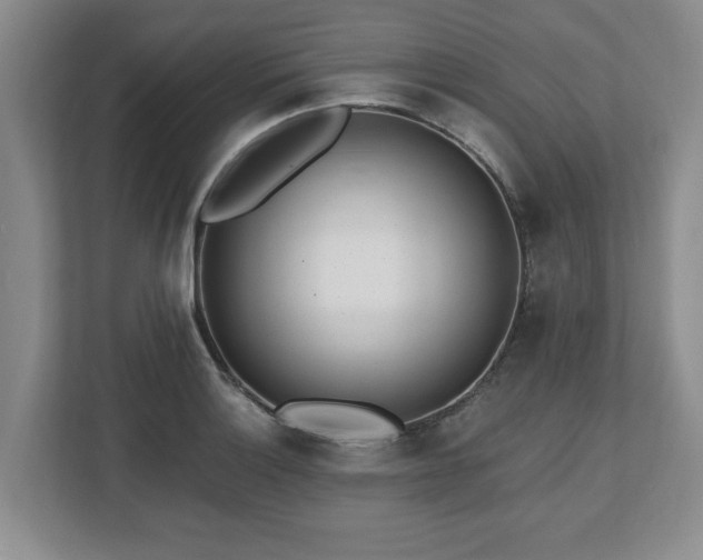 X0000112541132200908241521