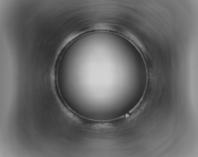 X0000112541133200908241521