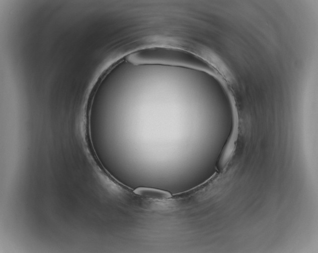 X0000112541136200908241521