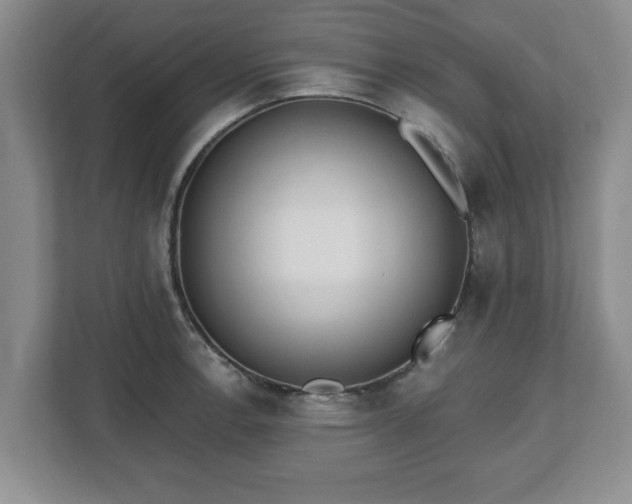 X0000112541138200908241521