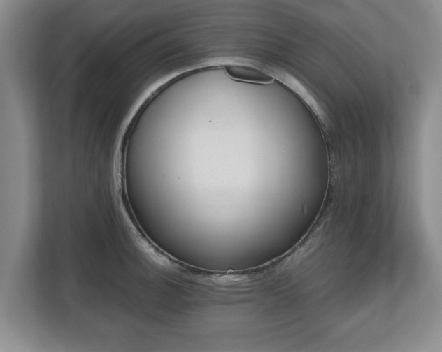 X0000112541140200908241521