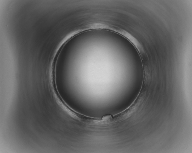 X0000112541142200908241521